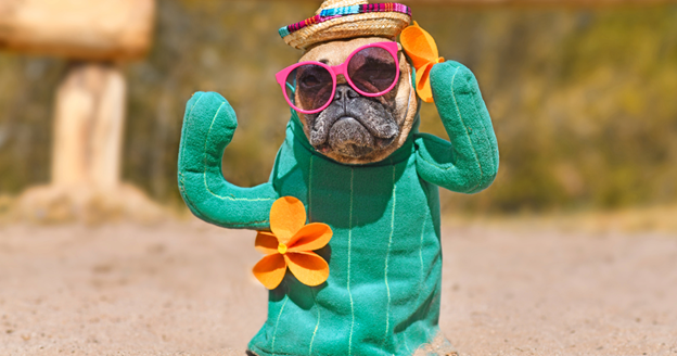 funny halloween costumes to make