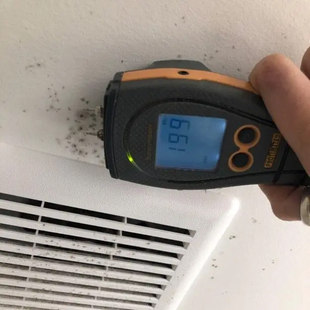 Is mold testing covered by health insurance