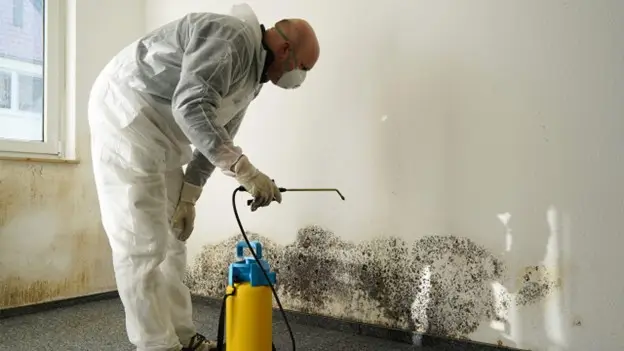 what is mold maintenance