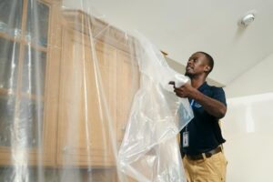what is mold maintenance